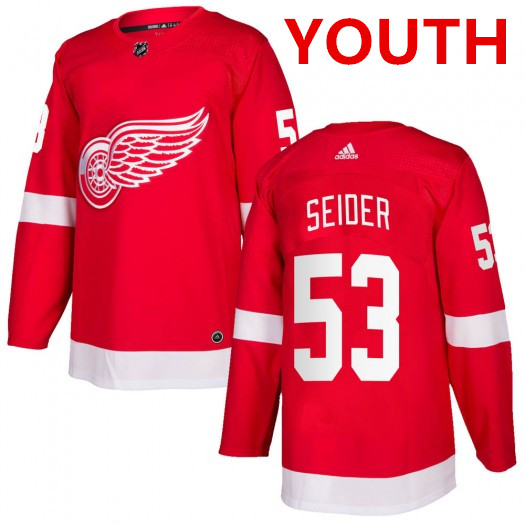 Youth Detroit Red Wings #53 Moritz Seider Red Home Hockey Stitched Jersey Dzhi->customized mlb jersey->Custom Jersey